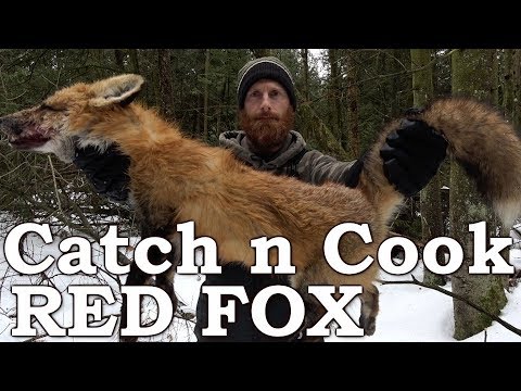 Catch and Cook WILD RED FOX!!! | PRIMITIVE BOW DRILL FIRE | EATING FOX MEAT