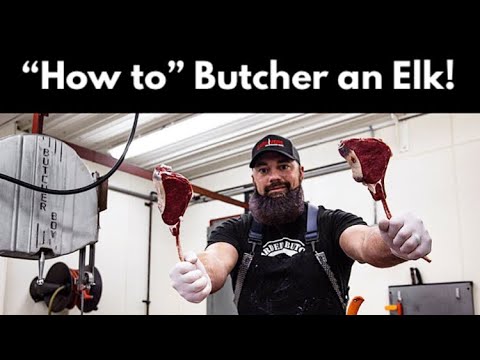 How to Butcher an Elk | Complete Breakdown of all of the Elk Meat | By The Bearded Butchers