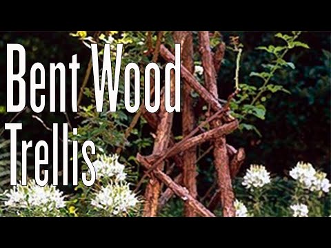 How to Create a Bent Wood Trellis