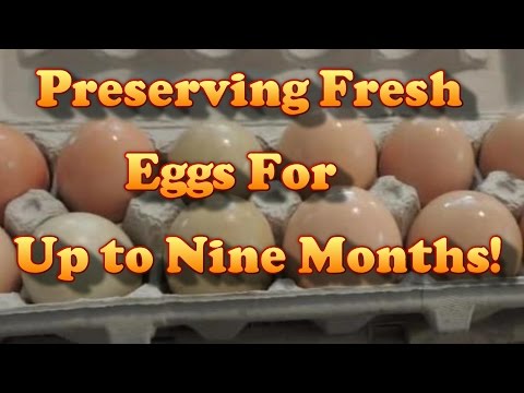 Preserving Fresh Eggs For Up To 9 Months!
