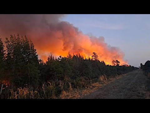 Huge wildfire burning in N.E. North Carolina now partially under control