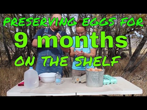 how to store eggs without refrigeration, using mineral oil, turtorial