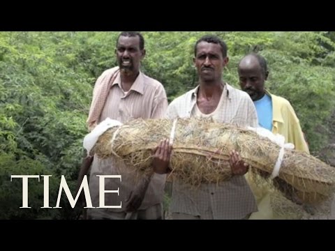 How A Predictable Drought Became A Tragic Famine In Somalia | TIME