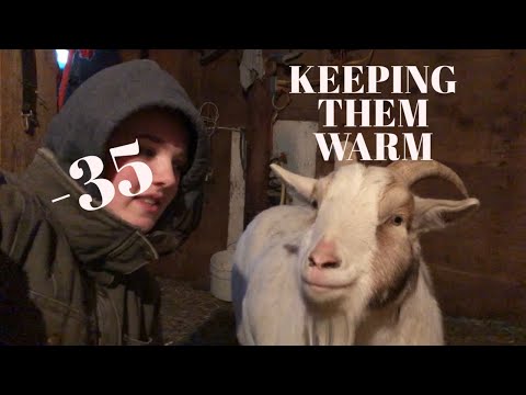 How We Keep Our Farm Animals Warm in the Winter