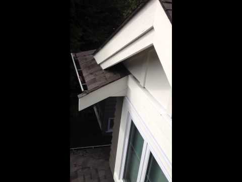 SQUIRREL CHEWS HOLE IN ROOF