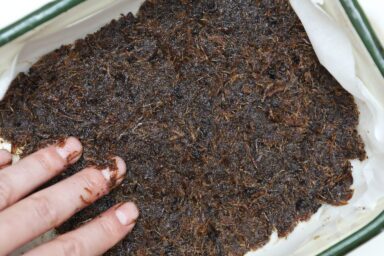 pemmican mix in tray