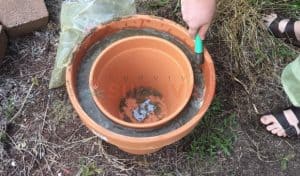 adding water to the zeer pot