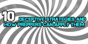 deceptive strategies logo
