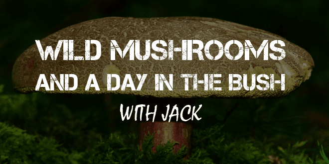 wild mushrooms logo