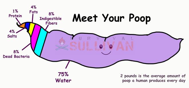 meet your poop