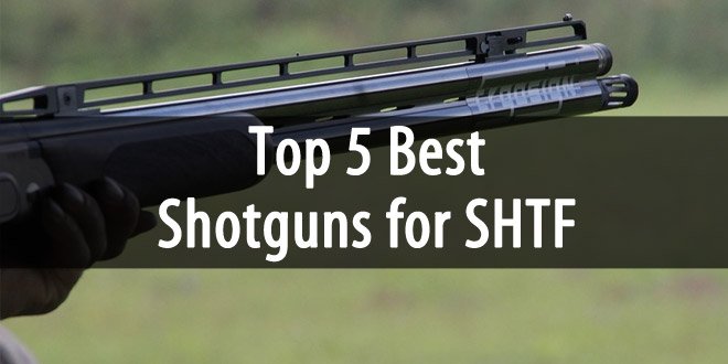 shotguns featured image