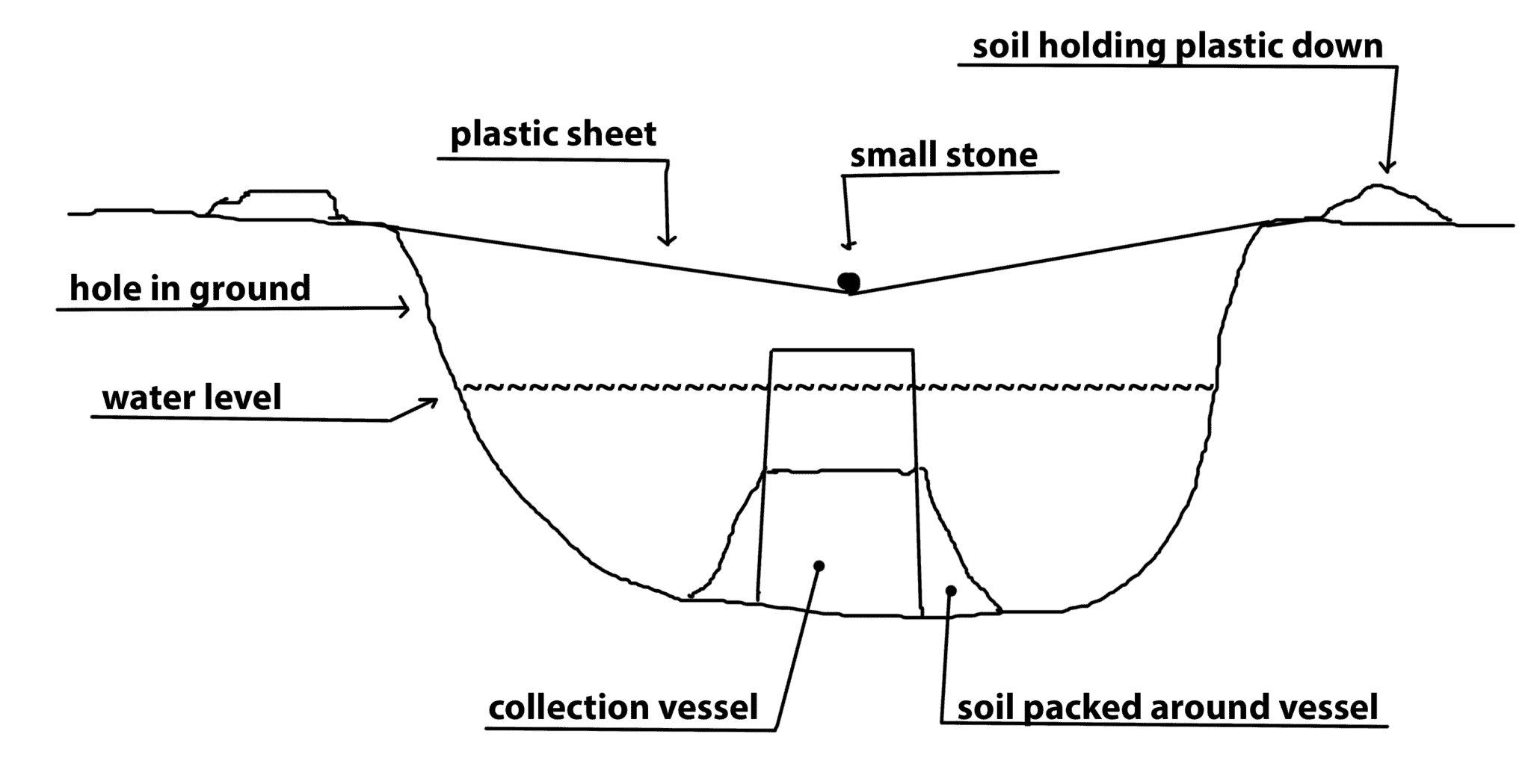 How to Make a Solar Still (3 Designs)