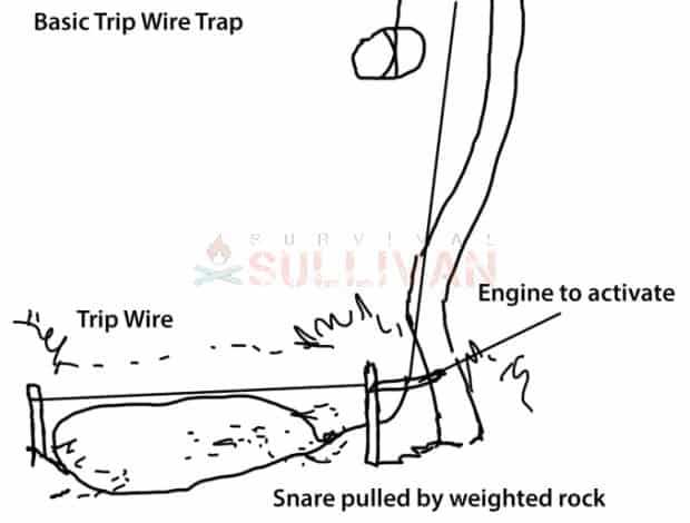 basic trip wire trap