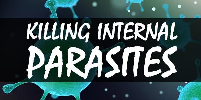 killing internal parasites logo