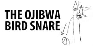 obija bird snare logo
