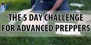 advanced 5 day challenge logo