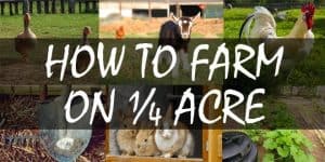 How to Farm on a Quarter Acre