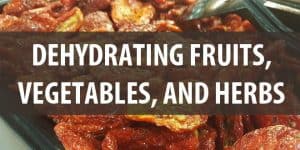 dehydrating fruits and veggies