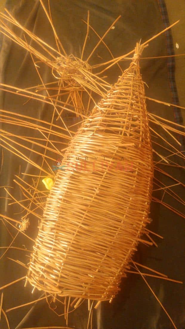 fish trap basket 2