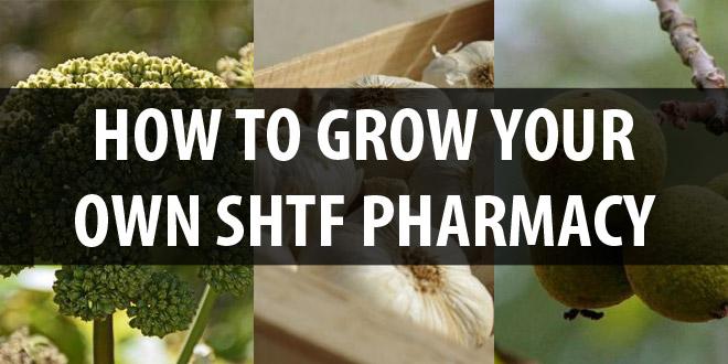 shtf pharmacy featured image