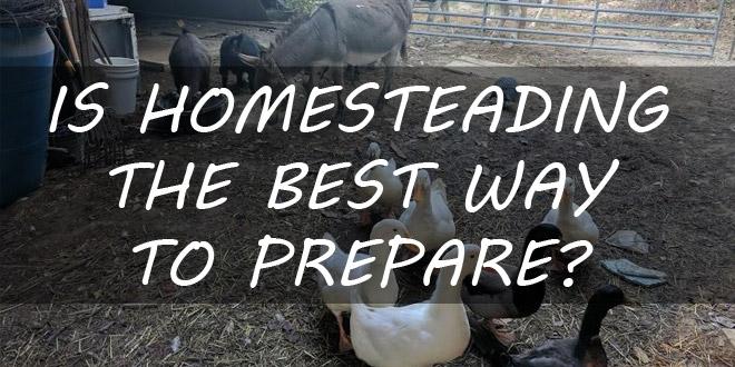 homesteading best way to prep featured