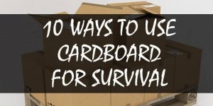 cardboard uses featured