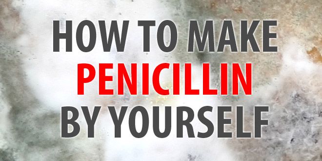 how to make penicillin featured