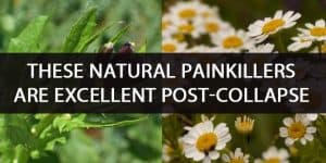 natural painkillers featured