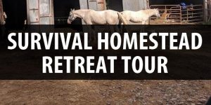 survival homestead tour featured