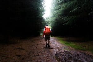 hiker in rainy forest