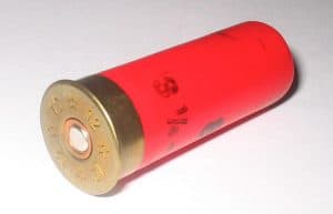 12 gauge shotgun shell