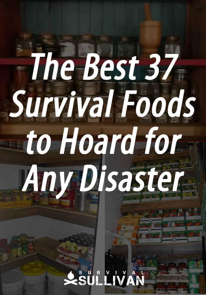 best survival foods Pinterest image 1