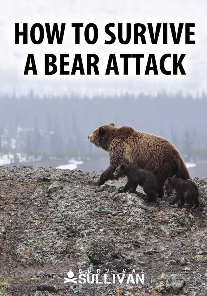 surviving a bear attack