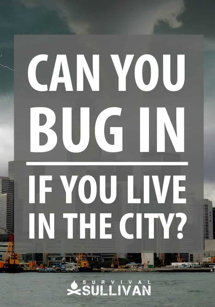 urban bugging in Pinterest image