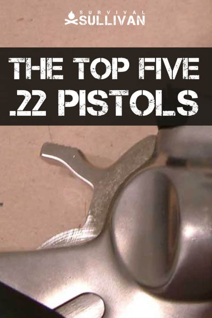 top .22 pistols pinterest image