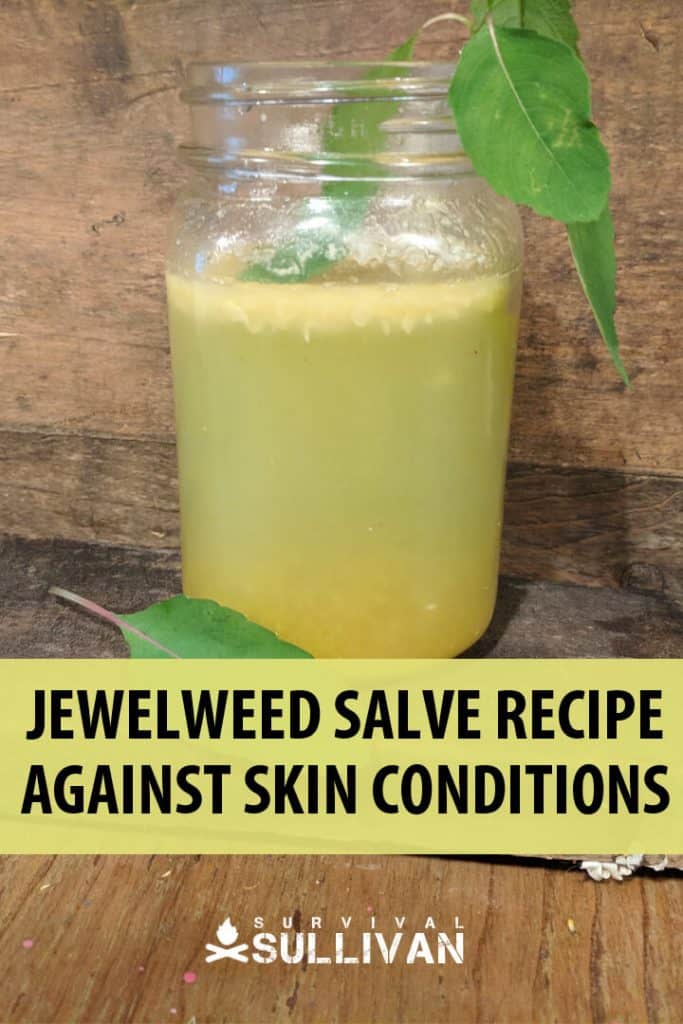 jewelweed salve recipe pinterest
