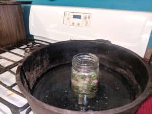 red clover and coconut oil simmering in a pot
