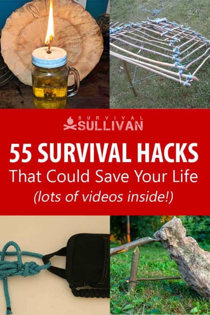 survival hacks Pinterest image
