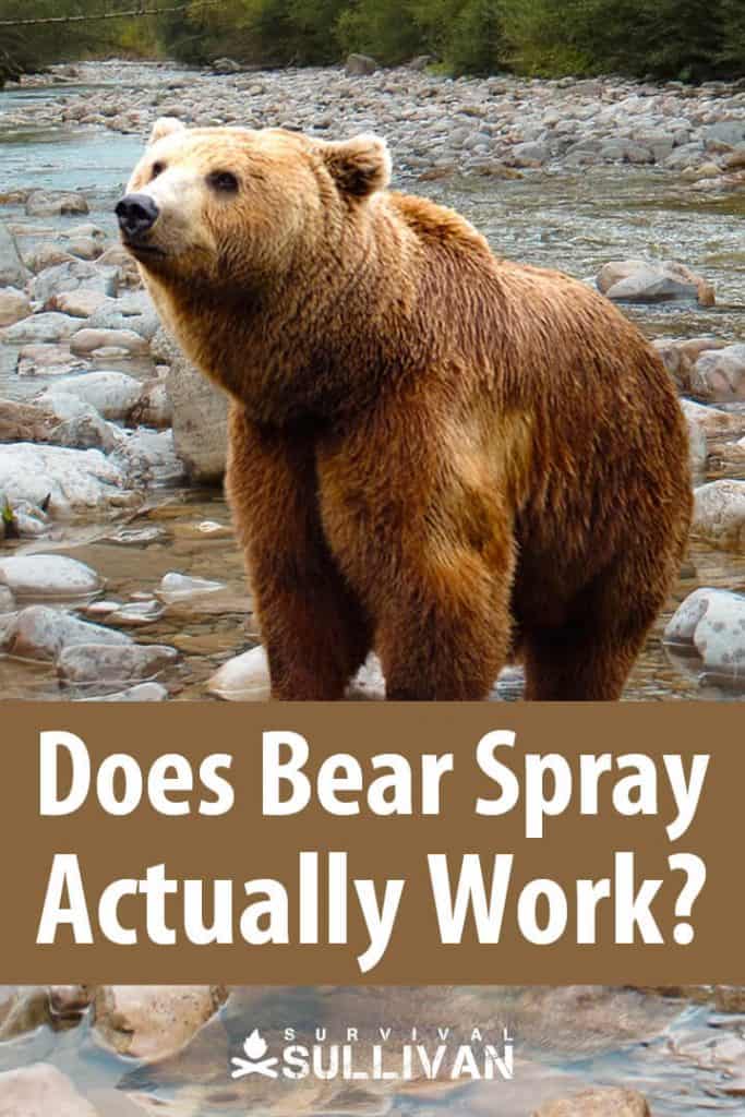 does bear spray work Pinterest image