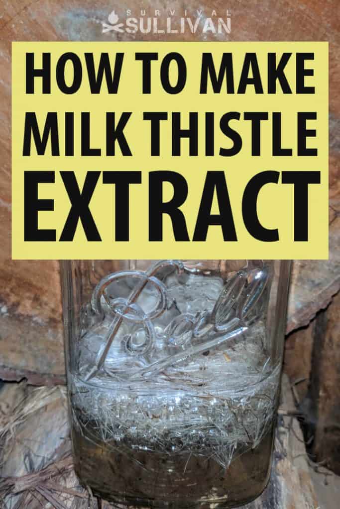 making milk thistle extract pin
