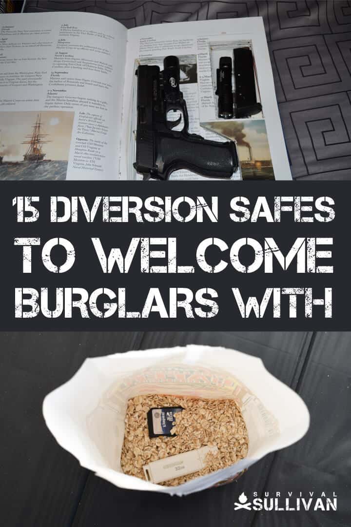 diversion safes Pinterest image