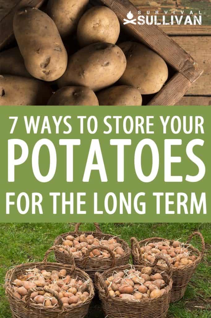 potato storage pinterest