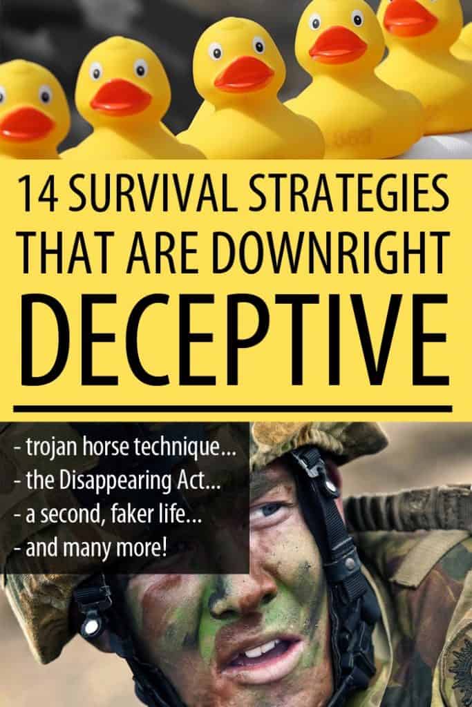 survival strategies Pinterest image