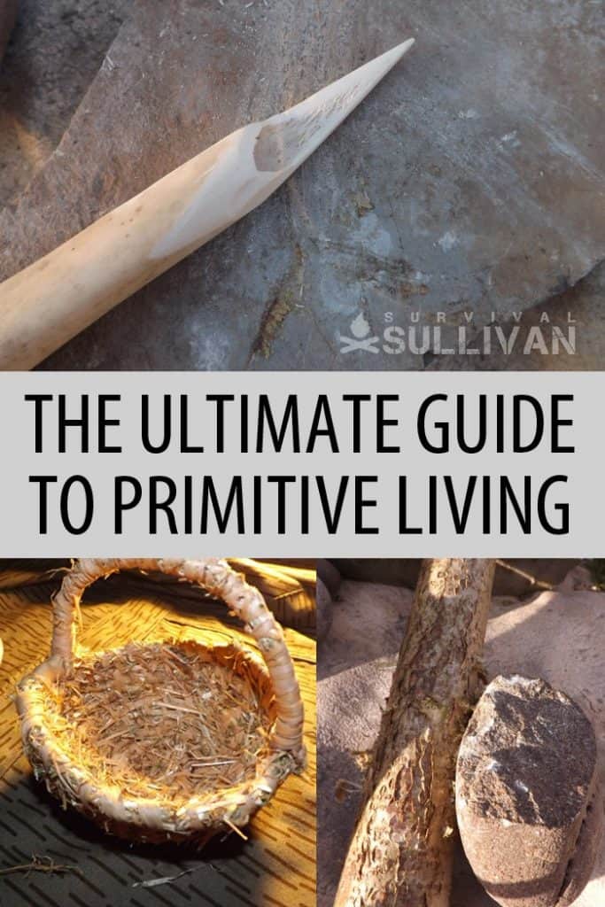 primitive living Pinterest image