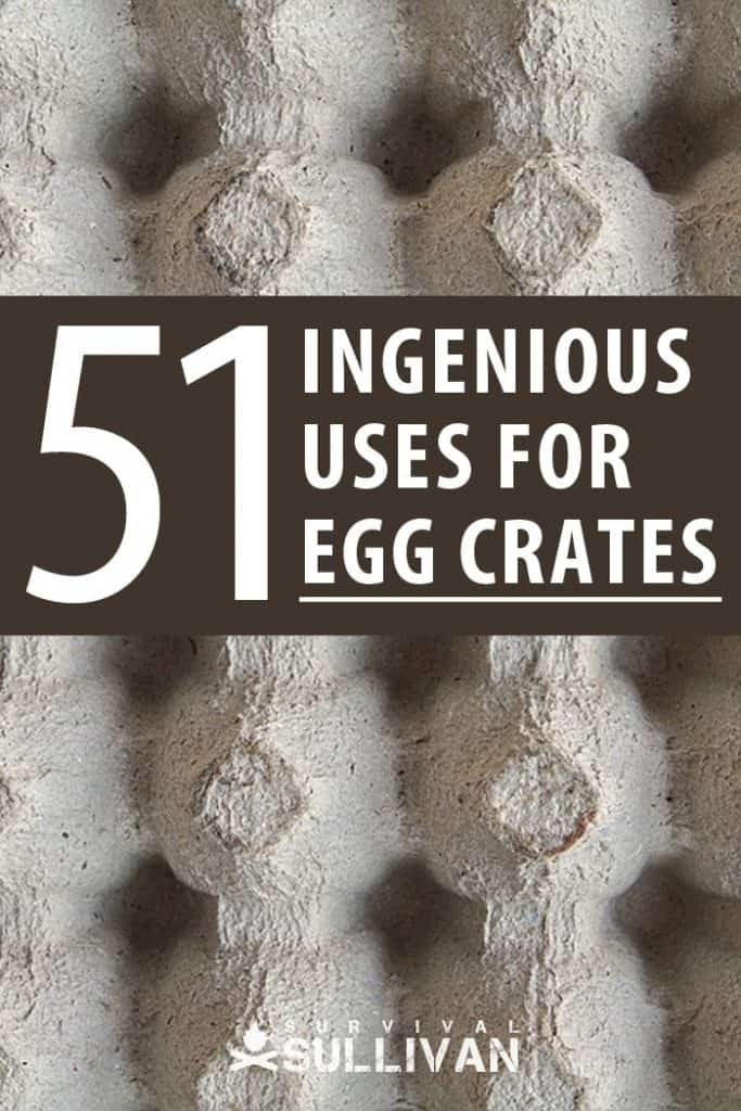 egg crates uses Pinterest image