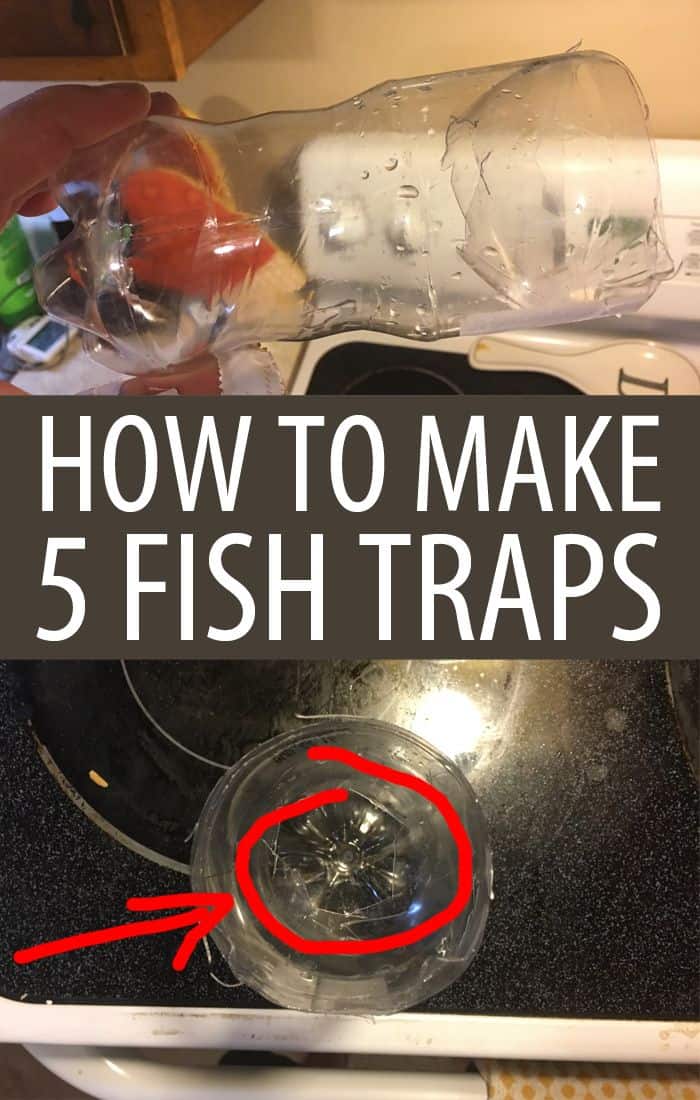 DIY fish traps pinterest