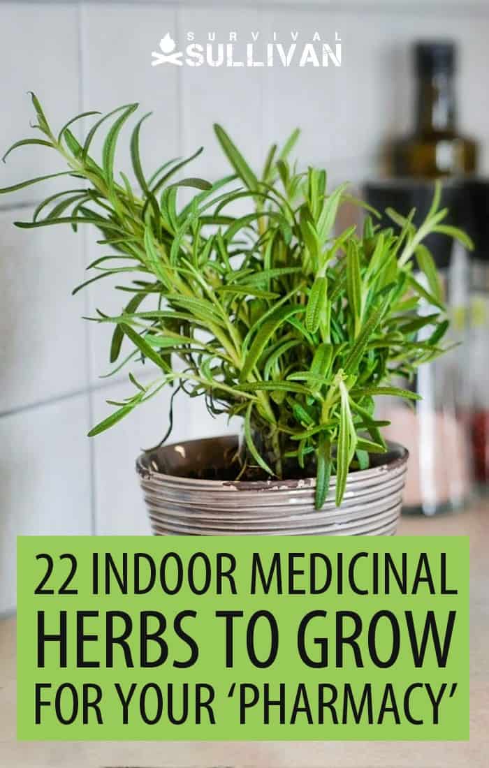 indoor herbs Pinterest image