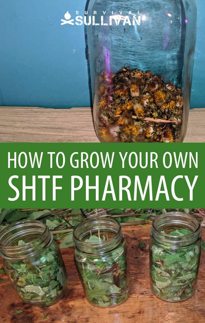 SHTF pharmacy Pinterest image