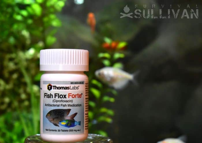 Fish Flox