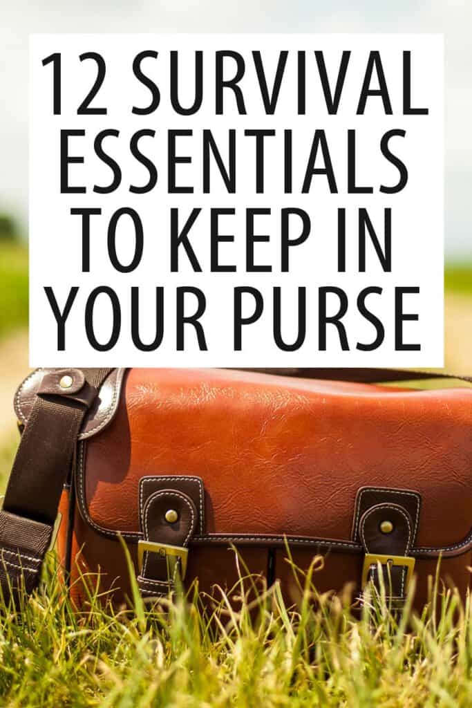 purse survival essentials Pinterest image